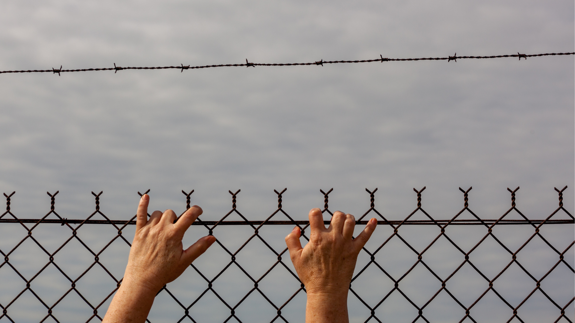Imagen de noticia sobre sector legal
